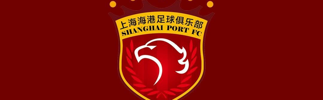 彩票-记者谈海港伤病：医务组两得力干将离队，球队正重建医疗系统